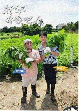 赛博竞速